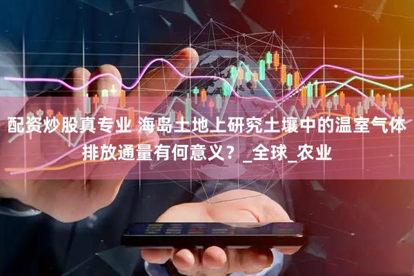 配资炒股真专业 海岛土地上研究土壤中的温室气体排放通量有何意义？_全球_农业