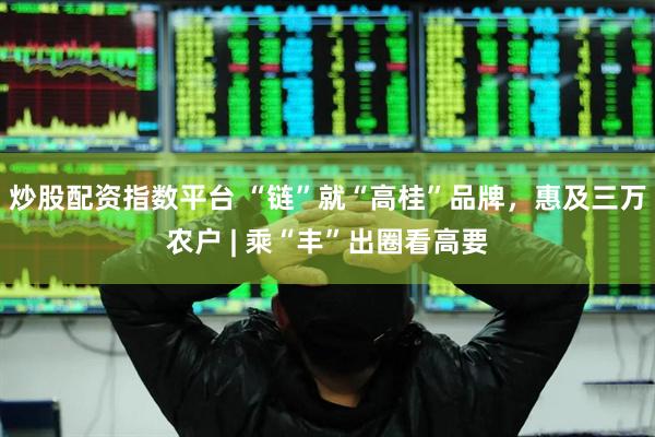 炒股配资指数平台 “链”就“高桂”品牌，惠及三万农户 | 乘“丰”出圈看高要